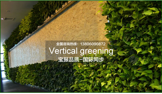 垂直綠化植物墻為什么會(huì)越來(lái)越受歡迎