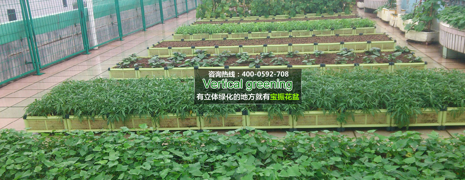陽臺2.jpg 陽臺2.jpg