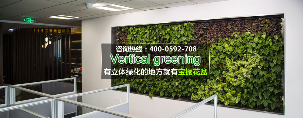 天青色等綠墻，而綠墻在等你
