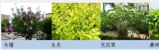 HURA8J4T@191_1Z`L82D2[F.png HURA8J4T@191_1Z`L82D2[F.png