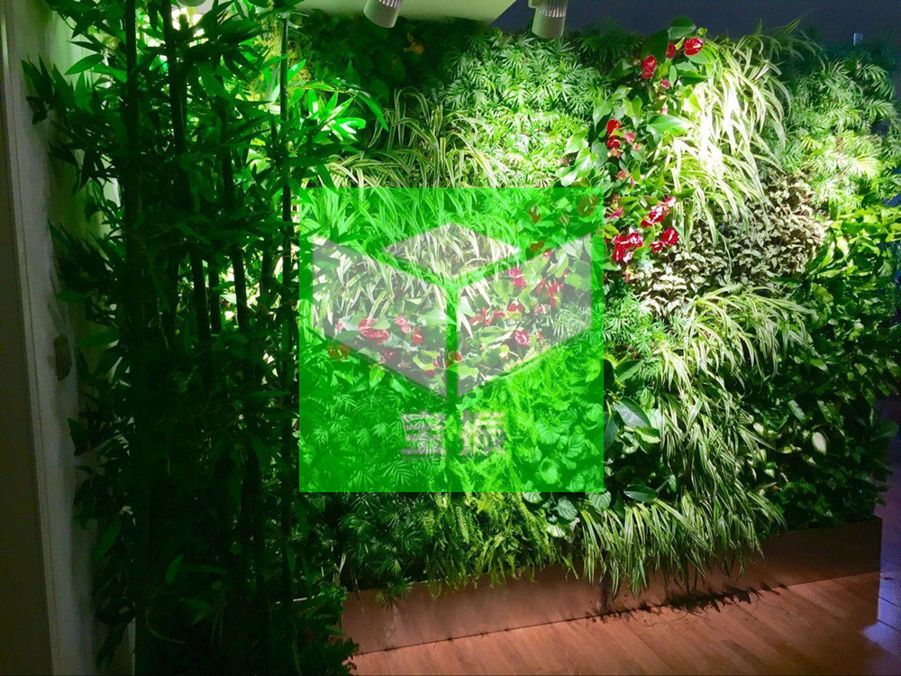 垂直綠化植物墻，的三大核心價值